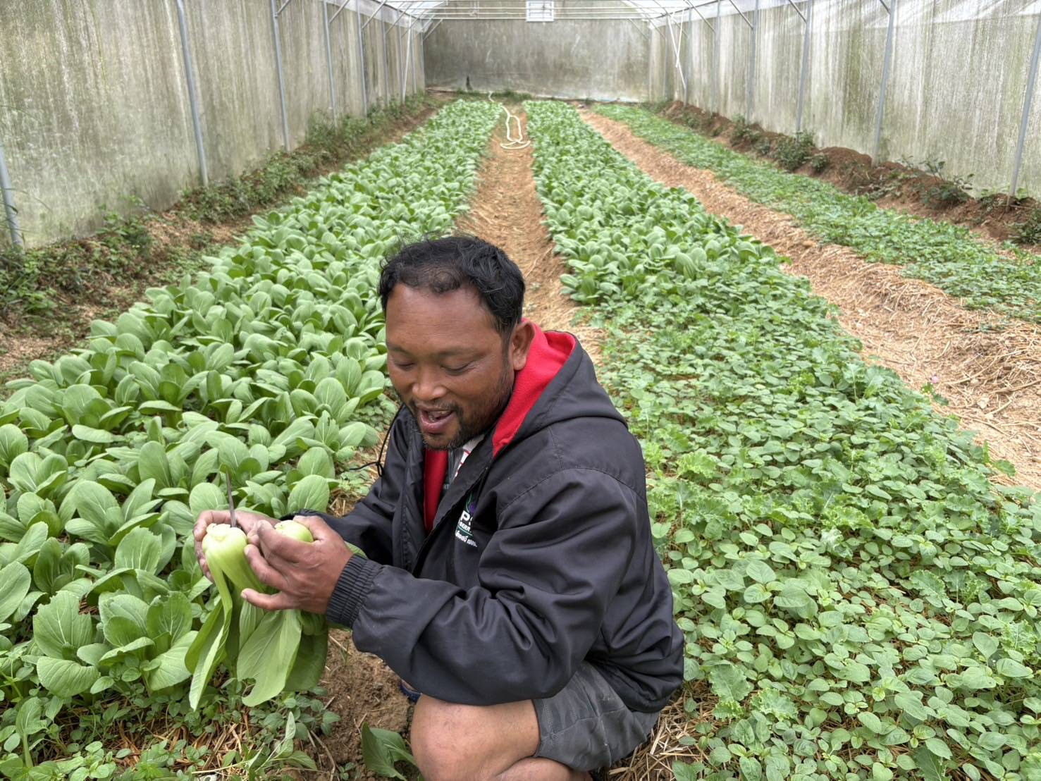 title - ส.ป.ก. ร่วมงาน เทศกาลผักอินทรีย์และของดีวังน้ำเขียว ครั้งที่ 5